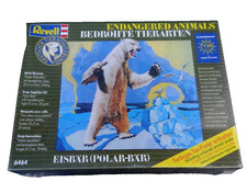 Eisbär Polarbär Tier