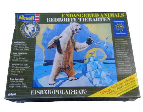 Eisbär polarbär tier - eisbär,