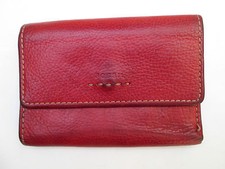 -AUTHENTISCHE FOSSIL