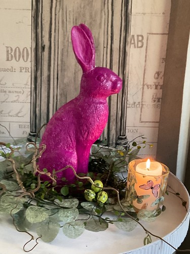 Großer hase lovis beere - hase,