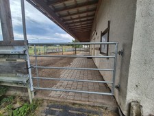 Panel Weidetore Pferde