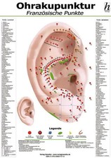 Ohrakupunktur Mini-Poster -