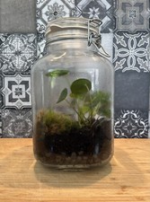 Flaschengarten Set ,,ewiges Terrarium“ 5 Teilig 1 Liter Boho Ökosystem