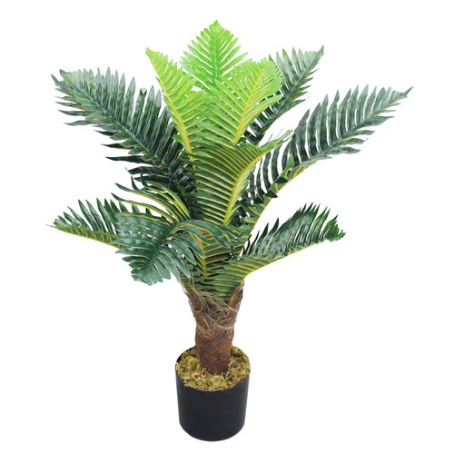 Palme palmfarn kunstpflanze - palme,