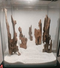 Dragonwood Set 4-6 zufällig