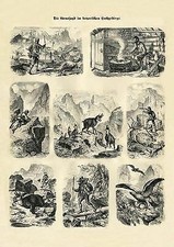 Gemsjagd im Hochgebirge