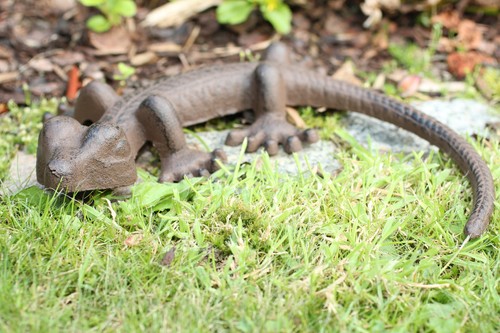 Gusseisen gekko salamander - gusseisen,