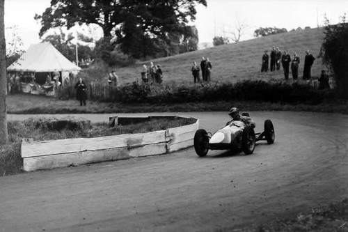 Tiger kitten prescott hill - tiger,