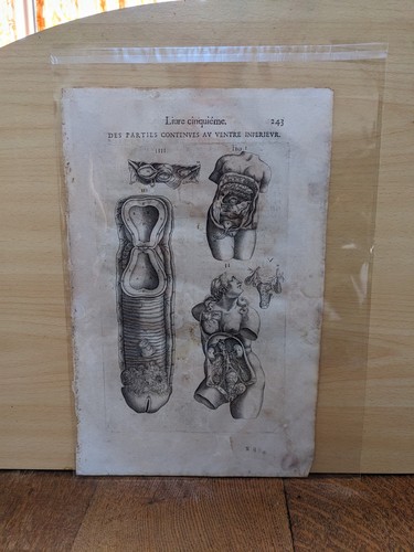 Radierung werke von herrn - werke,