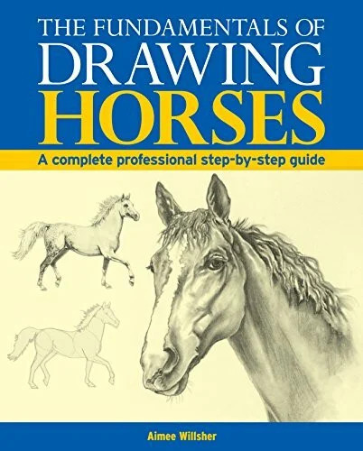 The fundamentals drawing - the,