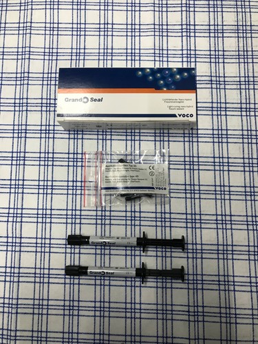 Voco grandio seal - grandio,