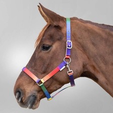 Halfter regenbogen - halfter,