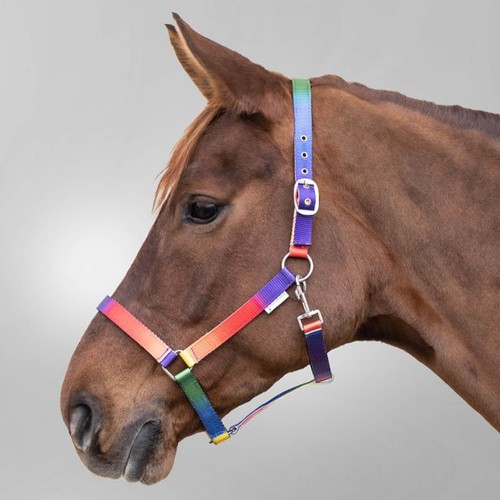 Halfter regenbogen - halfter,