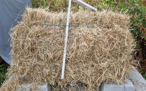 Heuballen ballen regenfrei - heuballen,