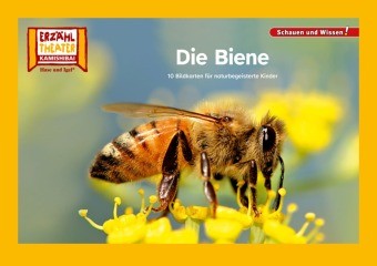 Die biene kamishibai - die,
