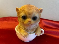 Katze in der Tasse Kater