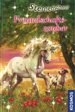 Freundschaftszauber von Linda Chapman(2010, Gebundenes Buch)