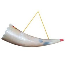 Reality-Horn ,Trompete 