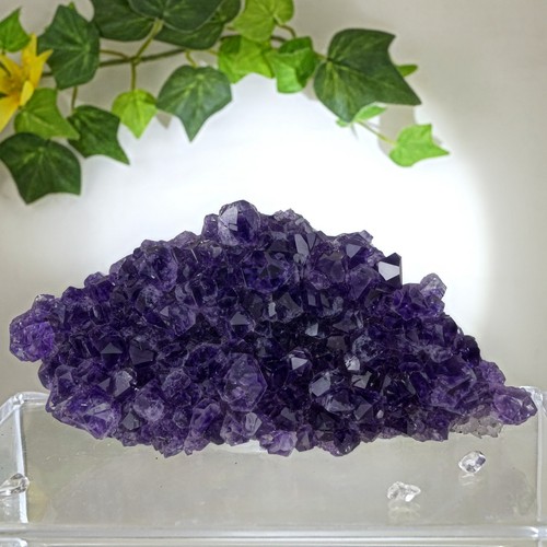 Amethyst drusenstück stufe - drusenstück,