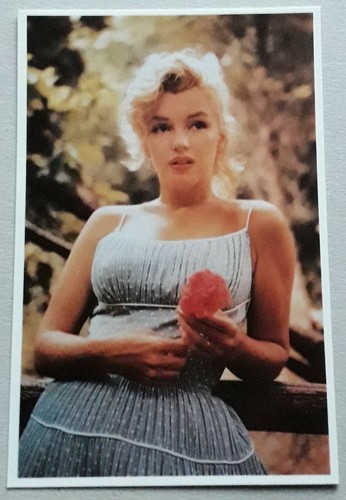 Schauspielerin marilyn - schauspielerin,