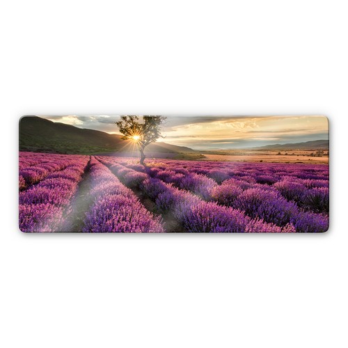 Glas glasbild lavendelblüte - glas,