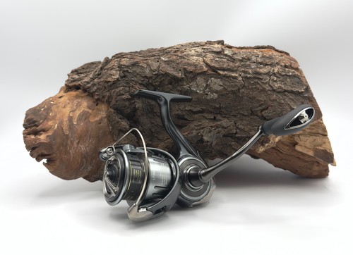 Daiwa ballistic hd - daiwa, 25