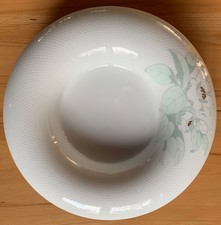 Rosenthal Studiolinie große