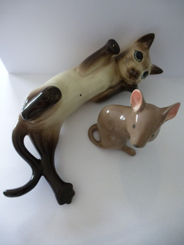 Seltene grosse siamkatze - grosse, und
