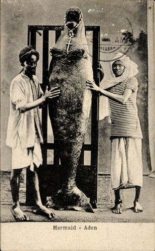Aden jemen mermaid - jemen,,