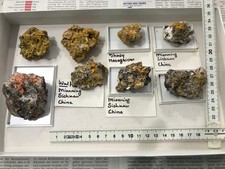 Sammlung mit 8 Stück