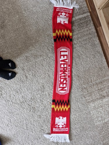 Tsv bayer leverkusen fan - 04,