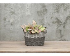 Pflanzkorb Polyrattan Ø 40 cm