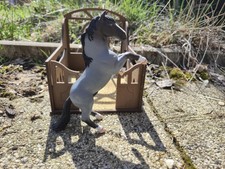 Schleich Pferd Repaint Breyer