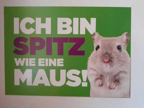 Edgar freecards ich - edgar, spitz