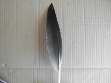 1 Gänsefeder 35 cm