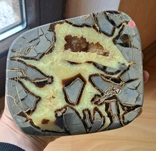 Septarie Scheibe Mineralien Utah USA Calcit Tongrube Konkretion Edelstein