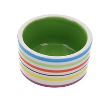 Kleintiere Maus Rennmaus