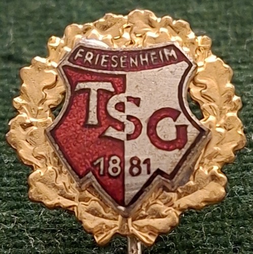 Tsg friesenheim handball - tsg,