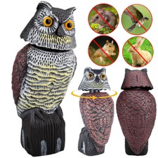 Vogelabwehrmittel Raubvogel