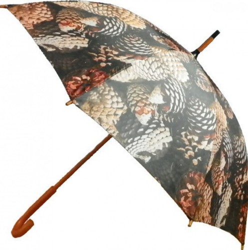Regenschirm stockschirm - regenschirm,