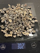 Ca.300 g Silberfarbene Zähne mit Anhaftungen Sicherheitshalber KEIN ZAHNGOLD !