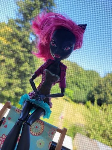 Htf catty noir monster high - htf*,