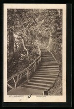 Ansichtskarte Kellinghusen in