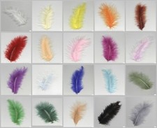 15 Marabufedern ca. 10 cm lang in 20 verschiedenen Farben von Knorr prandell NEU