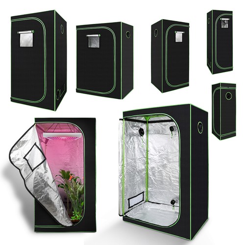 Growbox zuchtschrank - growbox,