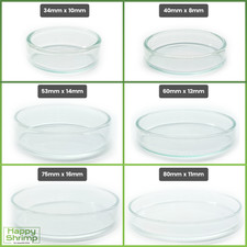 Futterschale aus Glas für Aquarium & Terrarium | Garnelen Schnecken Welse Fische