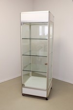 Glasvitrine Silber/Weiss 60 x