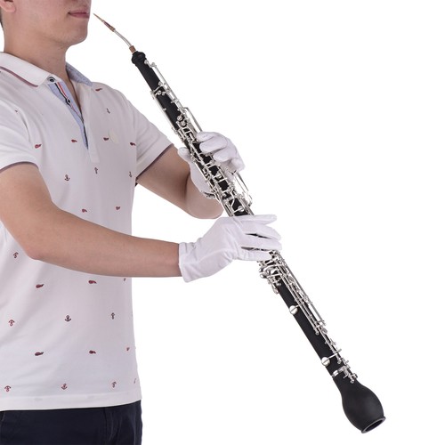 Professionelles