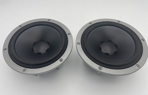 Dynaudio mid bass audience - dynaudio,