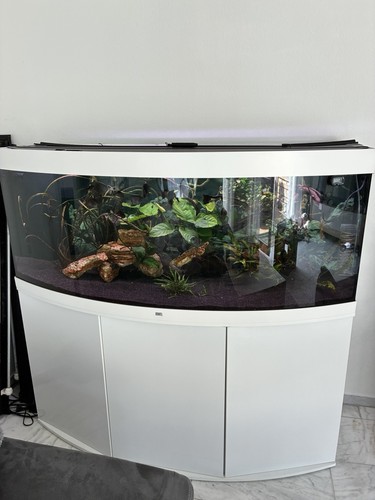 Juwel vision 450 - 450, aquarium